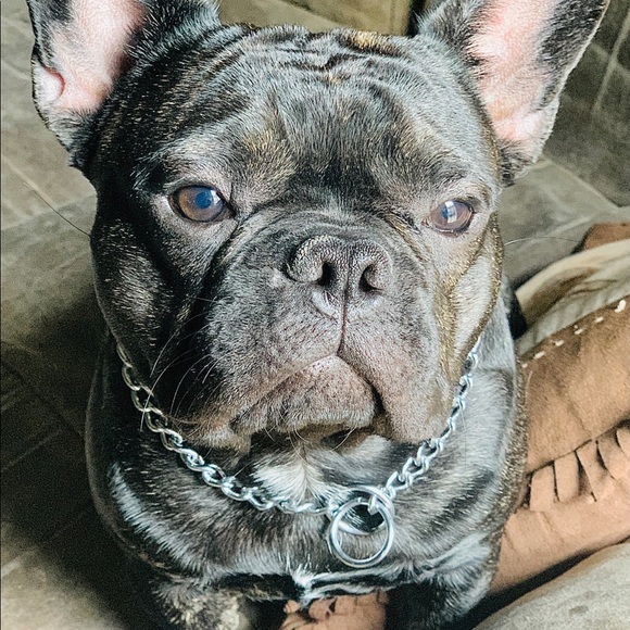 Meet your Posher, Megan - Picture 4 of 6